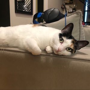 Meet your Posher, Robert